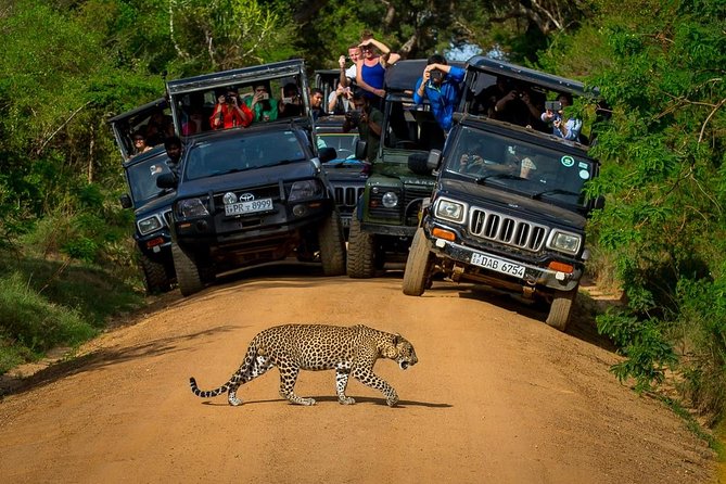 Classic Sri Lanka Discovery