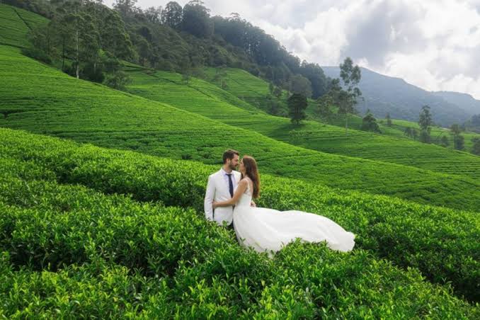 Tea estate wedding