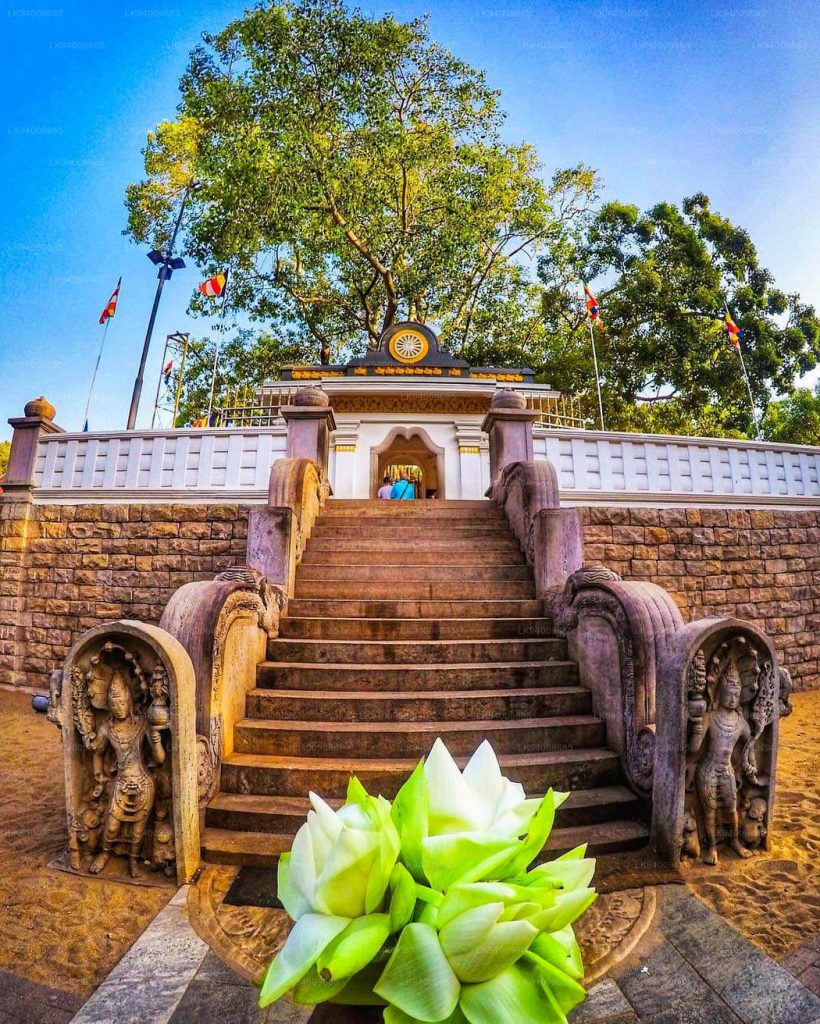 Ancient Kingdoms of Sri Lanka